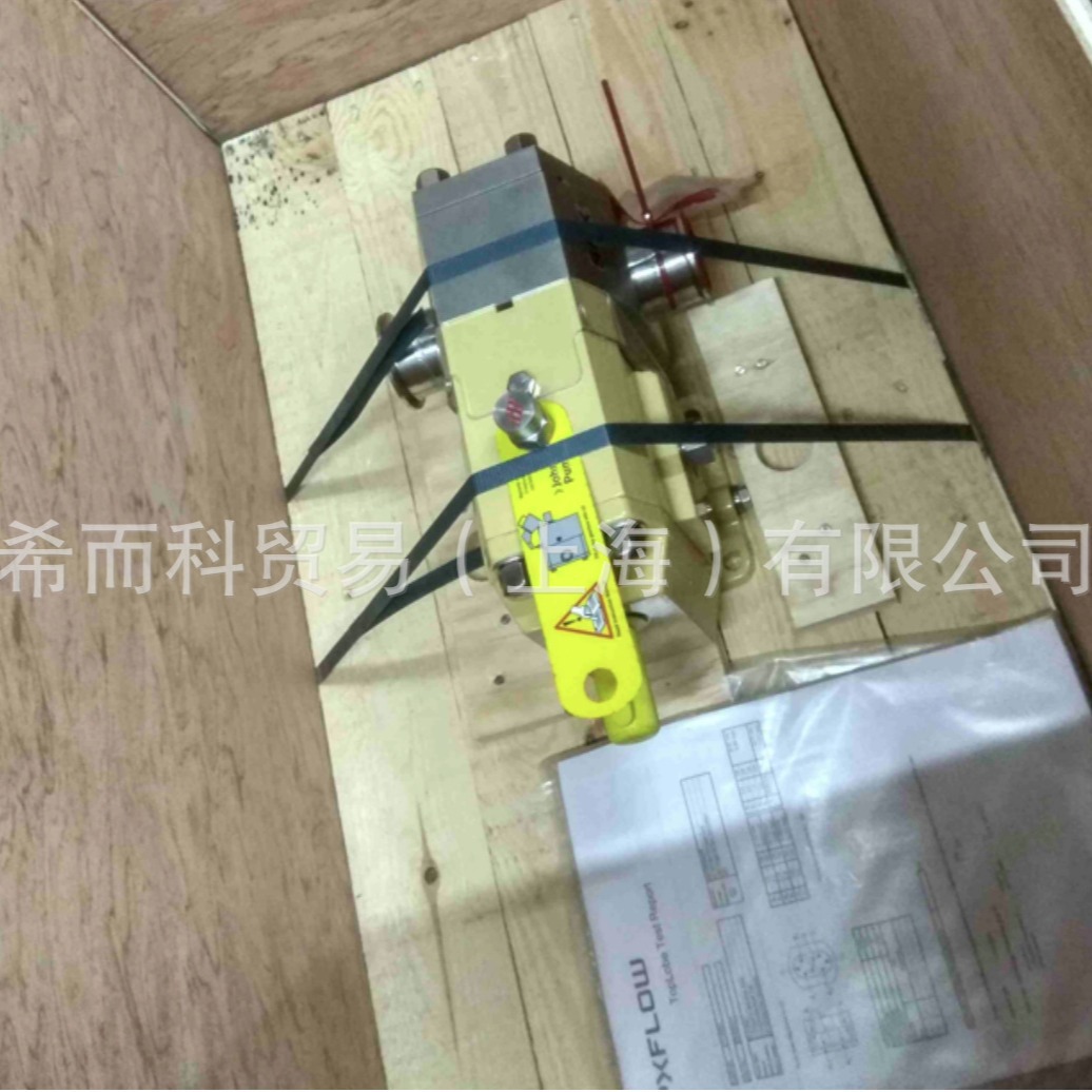 FuehlerSysteme TL20301_50-07-11-GB1-1-EF-EF-A齿轮泵 德国原装