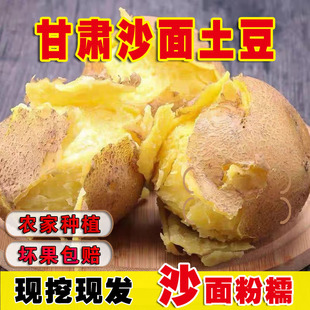 2026�����r�F�ڸ��C�����r���S��ɳ������3��a��ֱ�l���b����ɳ