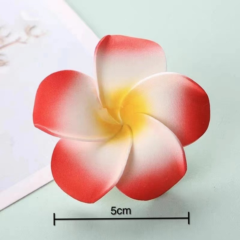 레드 (5cm)