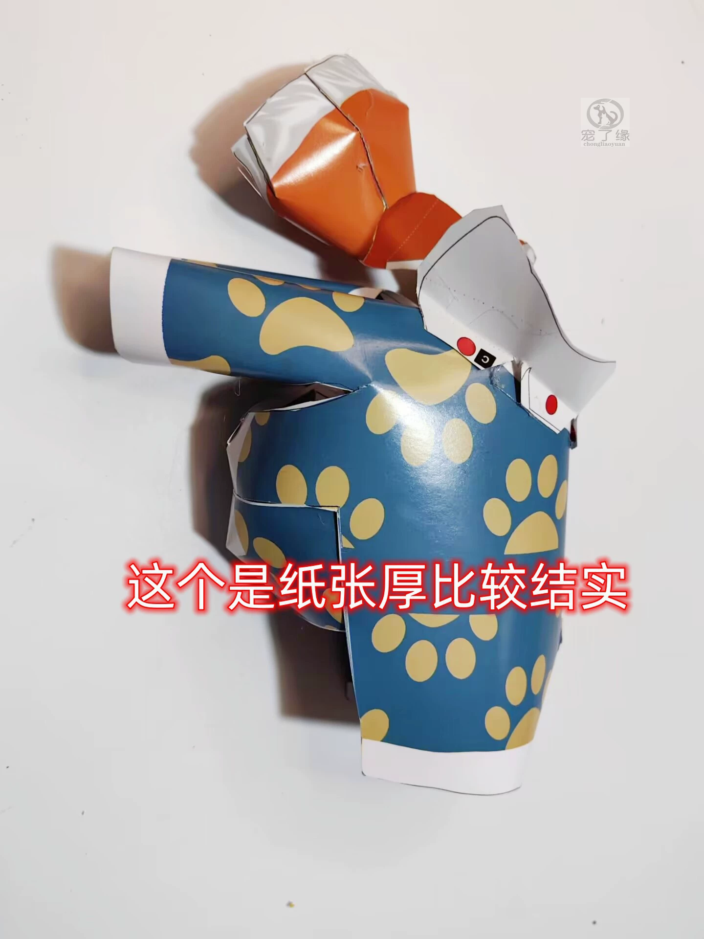 Домашняя кошка и собака кремирована