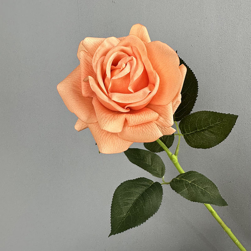 단일 터치 보습 장미 복숭아 분말