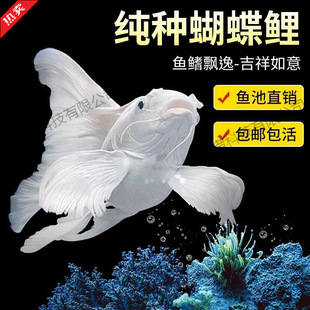 ̨����������ˮ�^�p�~ʯ��׶������w�{�^�Lβ�\���~����~