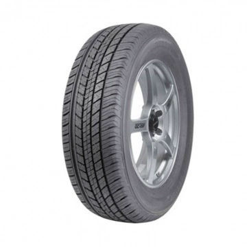 Deng Lupu Tire 225/65R 17 102H ST30 with Qijun Nissan NEW X-Trail Xinqijun