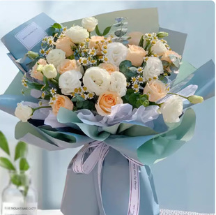 ̫ԭ�f���֕xԴ��ͬ�ǅ^�V�^�Ͻ��^��ɽ��ꖽ����d�R�h����õ�廨