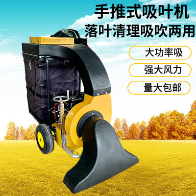 [自动行走式吸叶机 落叶收集器 道路边树叶吸吹机手推式汽油吸叶机]
