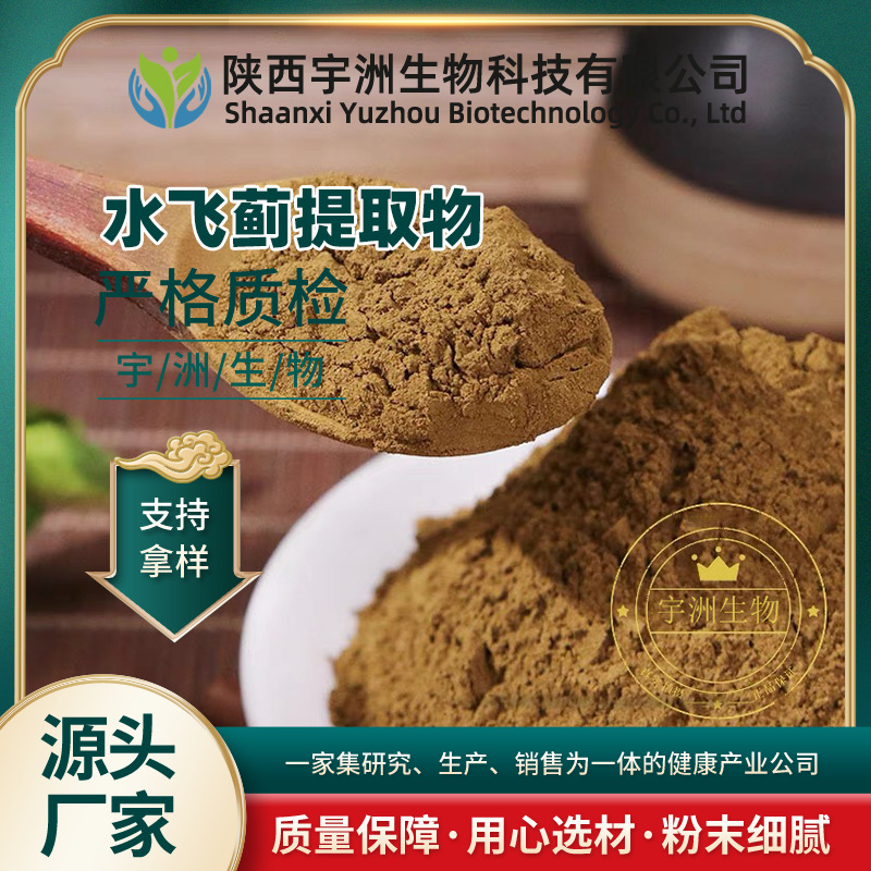 水飞蓟提取物 30:1/50:1比例  水飞蓟宾 奶蓟/水飞雉粉 水飞蓟素