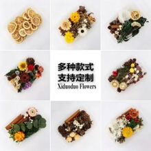�羳�o����޹�ɻ�diy���ϰ��L���ɹ������Ȼֲ���ֹ����l