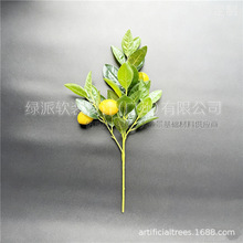 �羳���؛Դ���������~�����~�G�~�bٻ��ٗlˮ�ܿ��{�ܵ��Gֲ