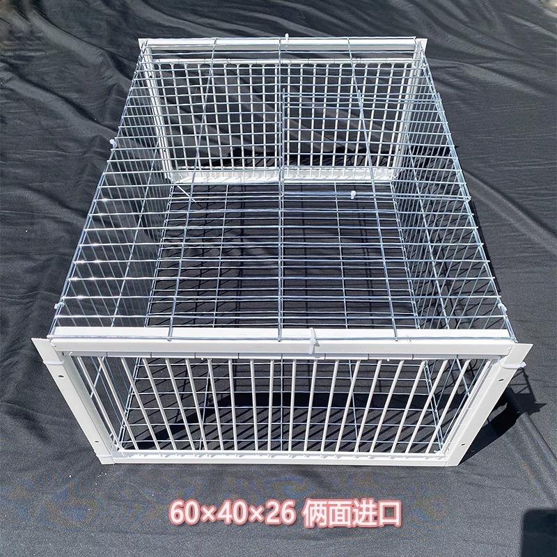 新型の天落籠ハト籠は暗号化を厚くして自動的にハトの神器を収めます。|undefined