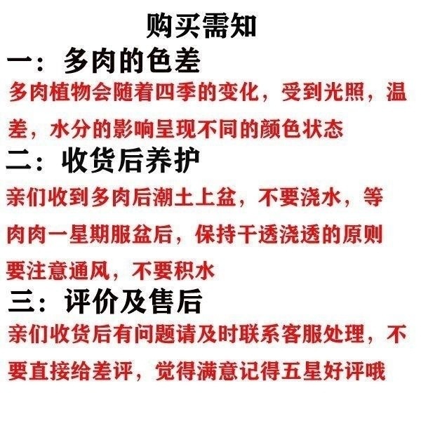 98043e46-3276-4d91-a22a-8a1b3b9f1ee0.jpe