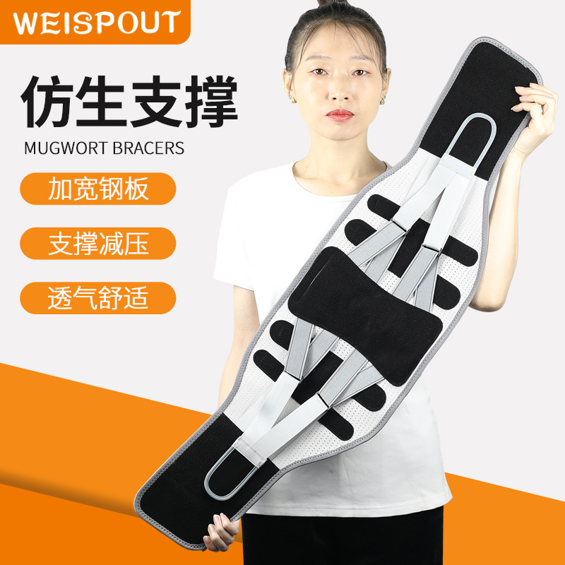 Weispoutはベルトの腰の間の皿を広げてベルトを固定します。|undefined