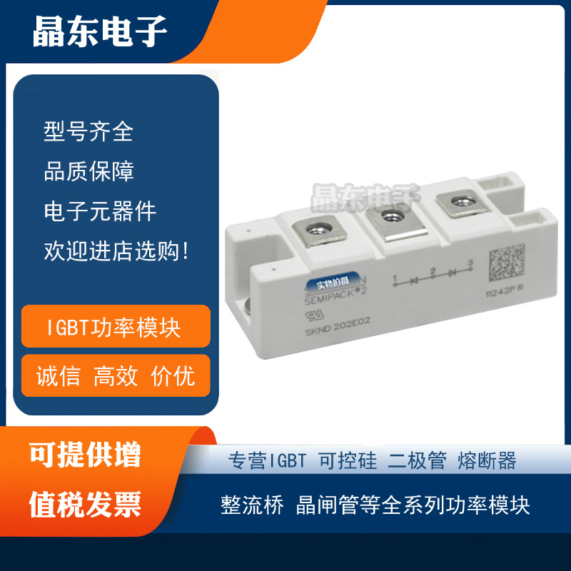 SKND202E02 SKND202E03 SKND205F06热销全新原装现货低价直销模块