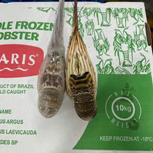 ���r���r�r����� ������rˮ�a���l���Ʒ����10kg/�������