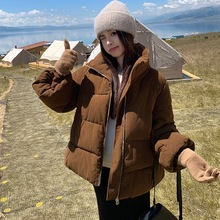 2025���¿��޷�Ů���̿�ɼӺ�С���������n�����\�r�г�������