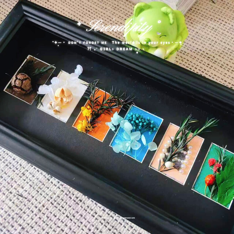 Handmade DIY Creative Photo Frame with Dried Plants and Flowers, Fruit Specimens, Hollow Three-Dimensional Ins-Style Long Strip Grid Picture Frame Display Stand