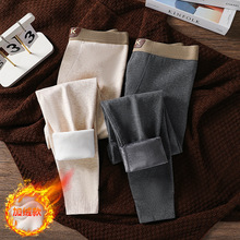 秋冬新款男士秋裤加绒加厚保暖裤打底裤男生线裤青年时尚单条秋裤