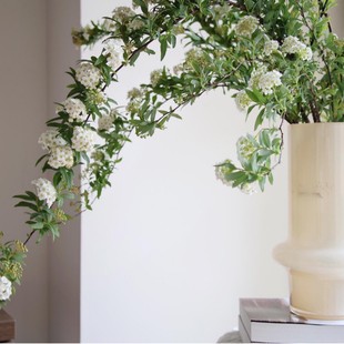 Sparrow, Bright Green Flowers in Autumn and Winter, Small Handball Flowers, Spirea Flowers, Fresh Cut Flowers, Home Vase Flower Arrangement