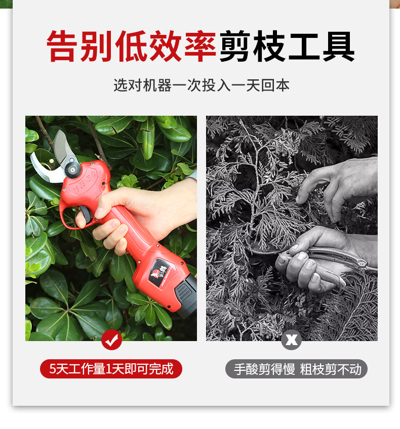 O1CN01B3Xdji1gmmPqucIEm_!!3093724185-0-cib.jpg?__r__=1695277531735