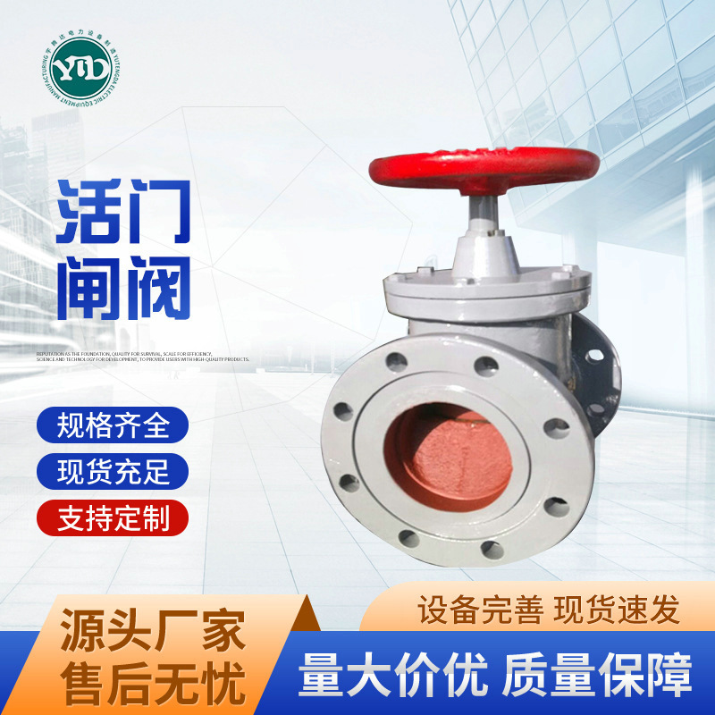 厂家直供 变压器专用活门不锈钢 100活门 闸阀  防盗硬密封球阀