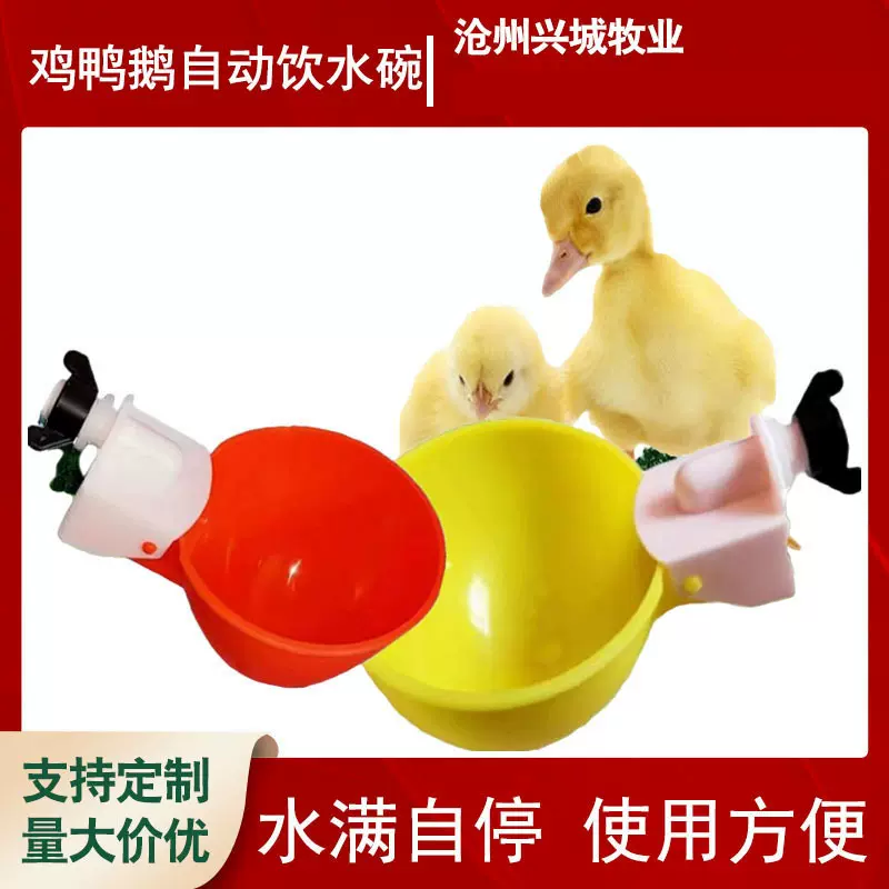 加大桶装育雏鸡鸭鹅鹌鹑喝水碗鸽子饮水器家禽饮水设备水满自停
