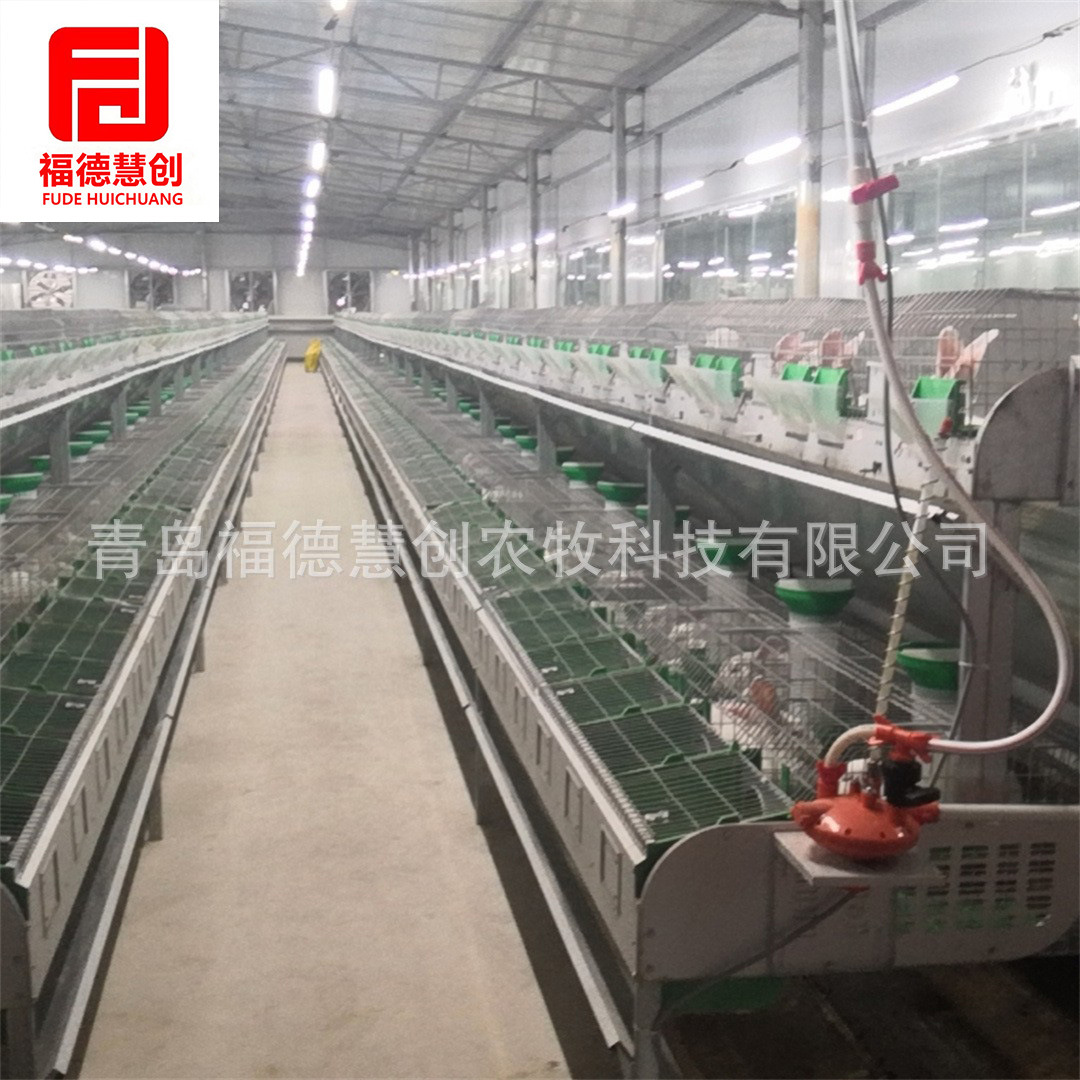 新型兔笼欧式种兔繁育一体笼单双层子母兔繁殖笼兔子笼