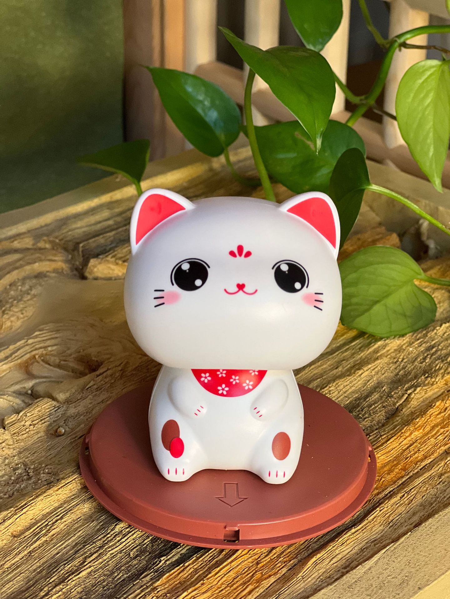 QQ图片20220524173407