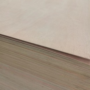 �S�Ұ��b���z�ϰ�ɶ��߼ӹ��ߴ���N���b��ľ�бP�������Ӱ�