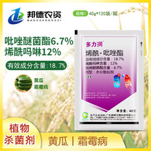 ��� ������18.7%ϩ�����������Ѿ��� �S��˪ù��ֲ���rș������