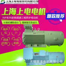 �Ϻ����늙CYVPϵ��׃�l�{�����ஐ��늄әC1.5~2000kW�S��ֱ��