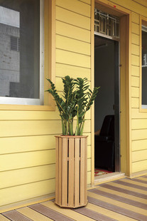 ɭ�G��ľ�S�� ���l ���b���̄e������ �״��� ���⠝���b�