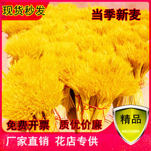 Ȼɻ_I@[͏d@廨bĔz߽