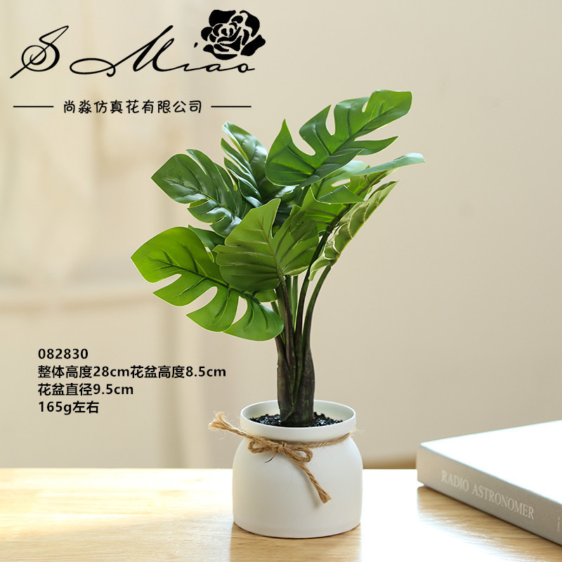 Plantas verdes claras 082830 ☆