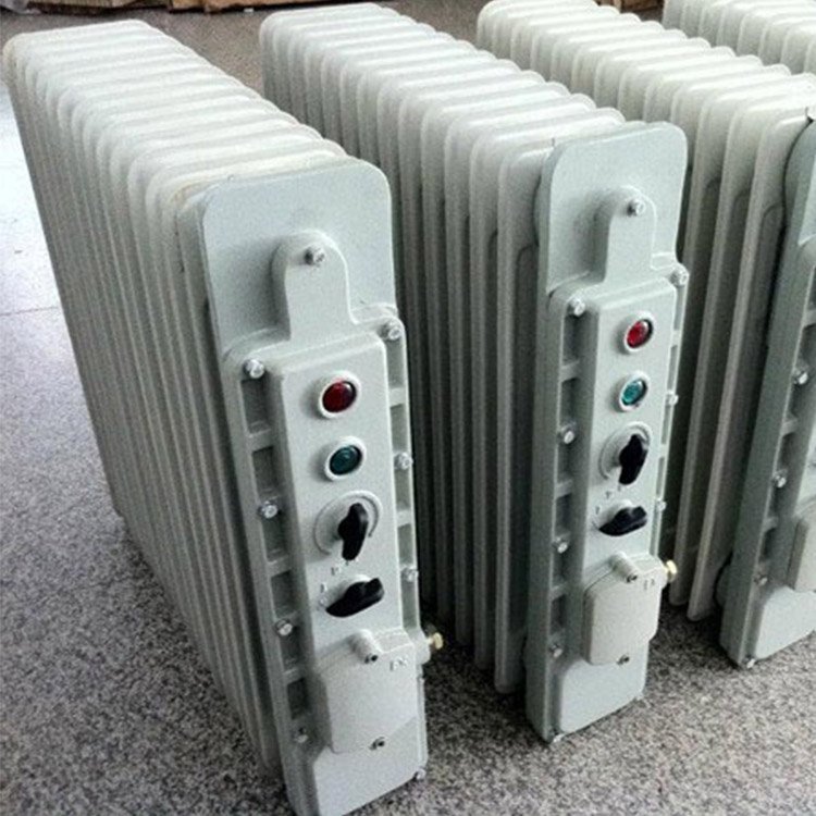 BDN58系列防爆电暖器  BDN58系列防爆电暖器