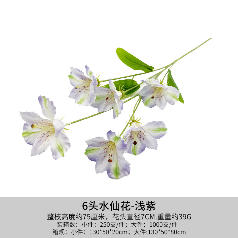연한 보라색