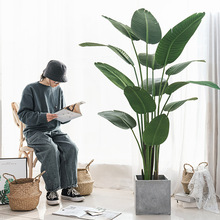 仿真绿植假植物造景装饰室内旅人蕉盆栽仿生龟背叶北欧客厅摆撸领