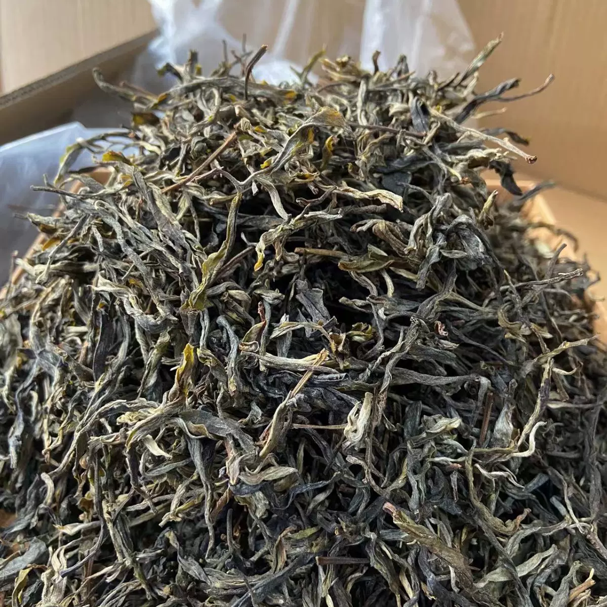 冰岛地界 云南古树普洱茶生茶 花香散茶500g 2023年春茶散料批发