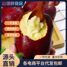 甘肃花牛苹果新鲜水果苹果整件包邮应当季水果花牛苹果一件代发