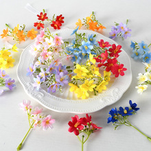 ���滨����С���^�ѻ��й��L����diy���϶Y���b�Y��c����