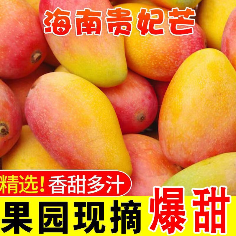 Hainan Imperial Mango, Sold by the Pound, Red and Golden Dragon Variety, Wholesale from Factory, High Mountain Old Tree, Sweet and Juicy, Extra Large, Tree-Ripened Hainan Imperial Mango, Sold by the Pound, Red and Golden Dragon Variety, Wholesale from Factory, High Mountain Old Tree, Sweet and Juicy, Extra Large, Tree-Ripened