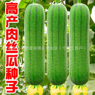 ţ�̰׽z�ϷN�Ӹ߮a��z�ϷN�����̨���Բˈ@�����ļ����߲˷N��