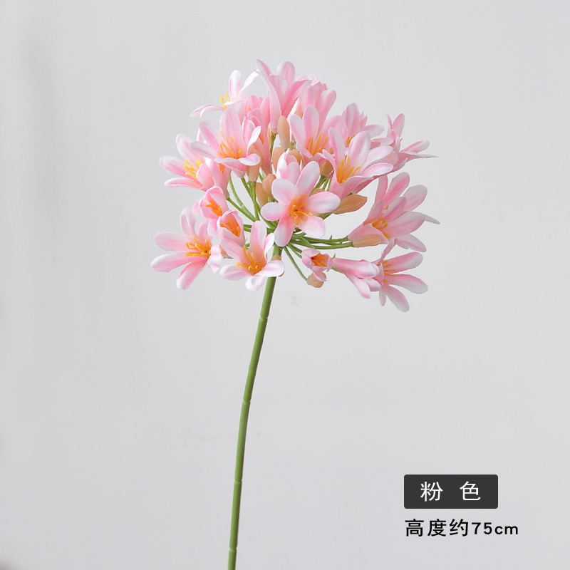 분홍색