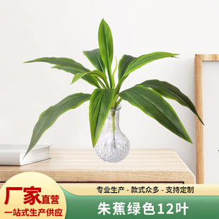 ��֧�����콶�Gɫ12�~�Gֲ�҃��b͏d�[��Ҏ����ӿ��x�Ҿ��b��