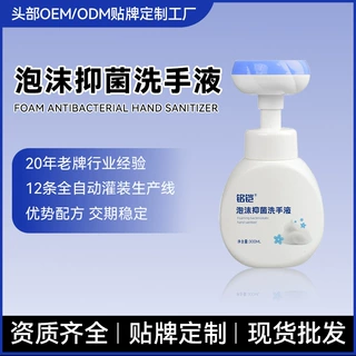 定制家用儿童泡沫抑菌洗手液按压式消毒杀菌清洁医用级贴牌代工
