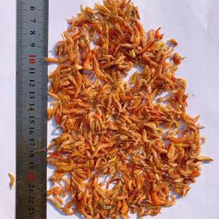 Turtle Food, Turtle Food, Freshwater River Shrimp, Dried Baby Turtle Food, Brazilian Turtle Food, Dried Small Shrimp, Red River Shrimp, Dried Shrimp