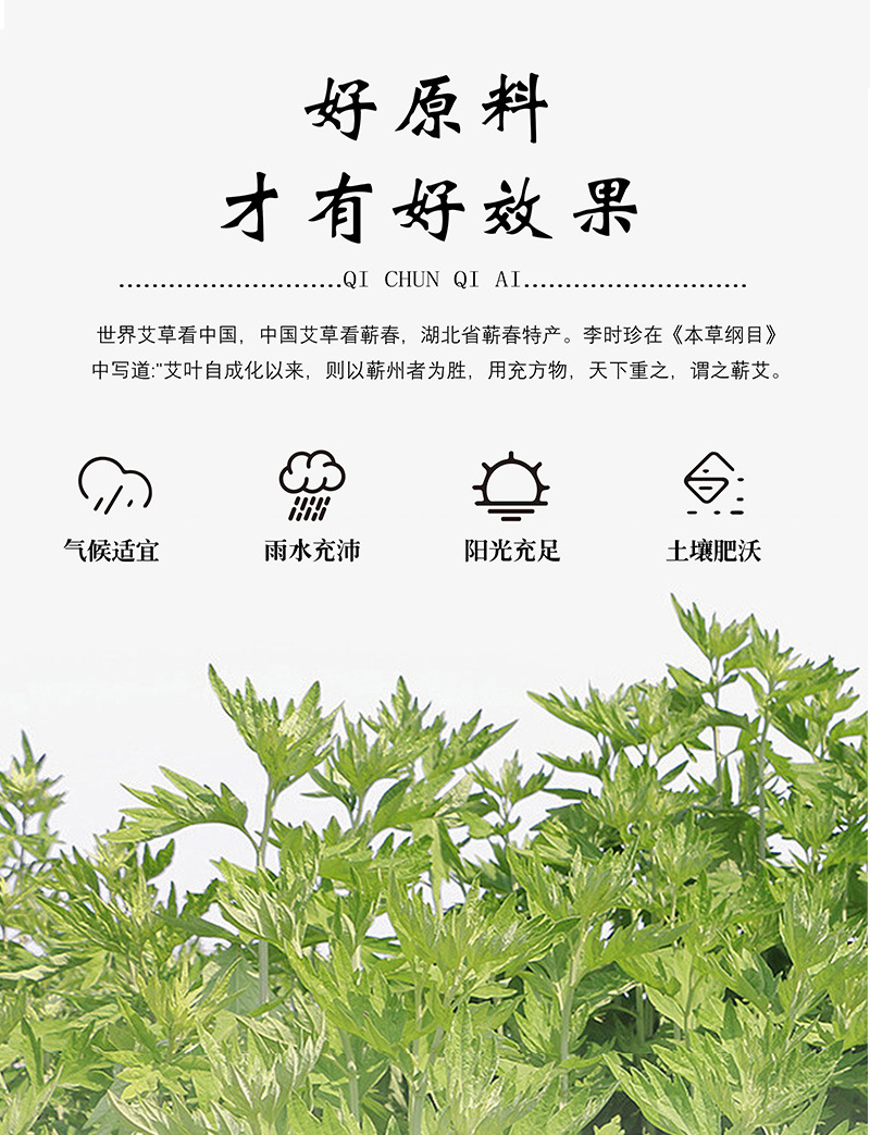 Qichun Mugwort Moxa Heat Patch Self Adhesive Warming Patch for Traditional Moxibustion Care 100 Patches Per Bag quality and texture