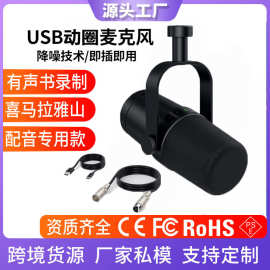心型指向录影棚话筒 拾音直播配音视频会议麦OEM私模动圈麦克风
