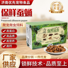 蚕蛹保鲜虫守宫饲料食物爬虫蜜袋鼯乌龟仓鼠零食高蛋白保鲜蚕蛹