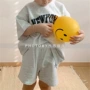 字母儿童短袖男女短裤