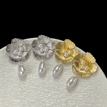 Hؕ¿hŮСٴinsLpݏ͹wܶᔶ