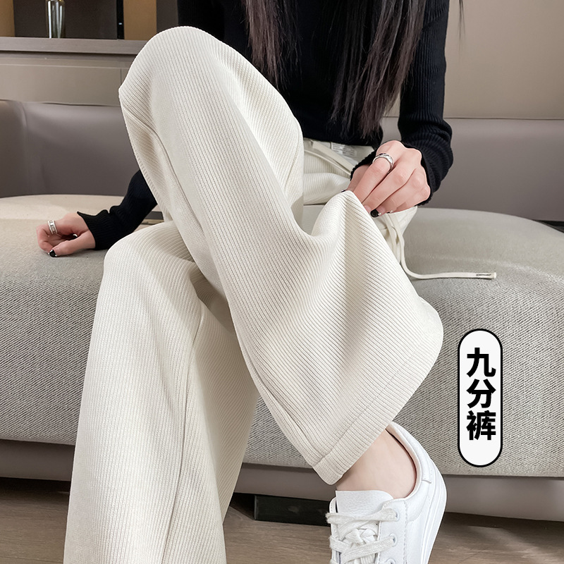 나인 포인트 살구